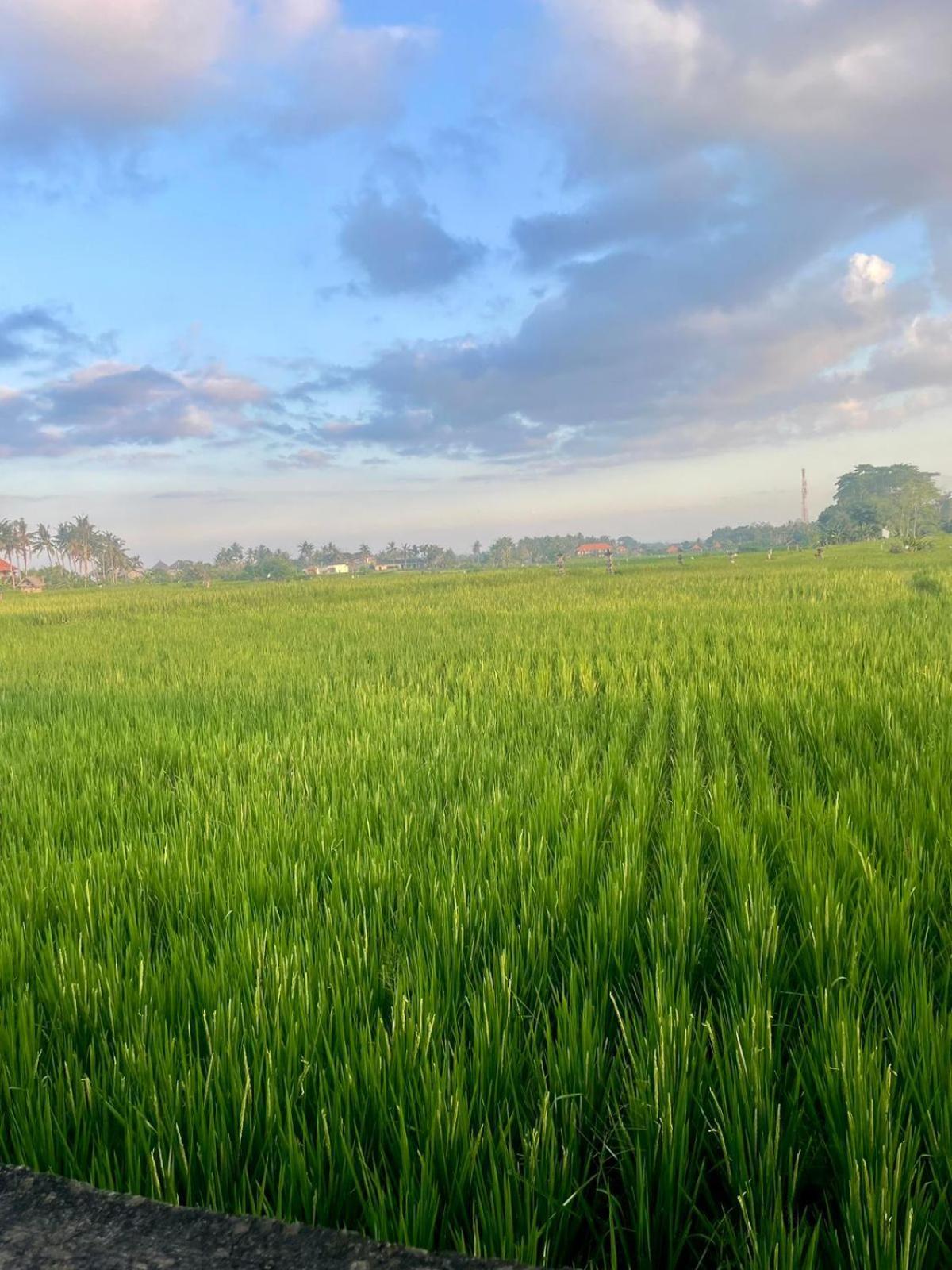 Arbathu Villa Ubud מראה חיצוני תמונה